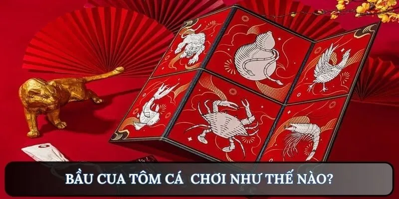 Quy trình chơi bầu cua tôm cá chính xác nhất