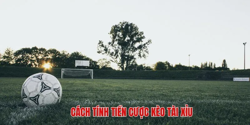 Cách tính tiền cá cược Tài xỉu trong bóng đá