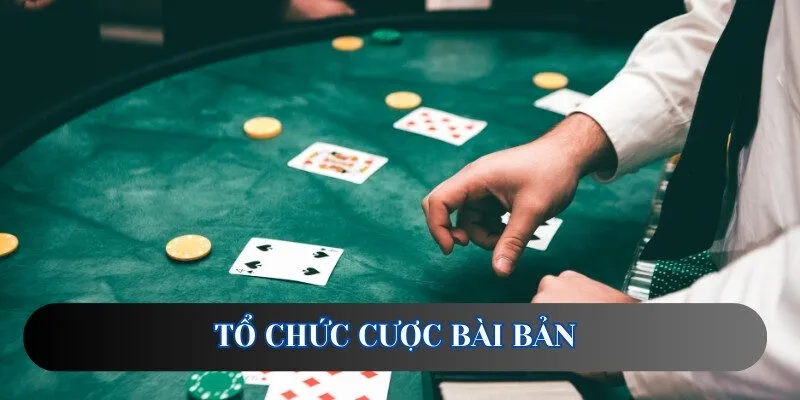 Cá cược casino chuyên nghiệp tại hệ thống